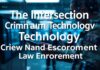 The Intersection of Crime and Technology: A New Frontier in Law Enforcement