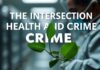 The Intersection of Health and Crime: Unraveling the Green Connection The Intersection of Health and Crime: Unraveling the Green Link