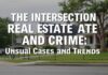 The Intersection of Real Estate and Crime: Unusual Cases and Trends The Intersection of Real Estate and Crime: Unusual Cases and Trends