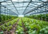 The Intersection of Technology and Agriculture: A New Era of Innovation